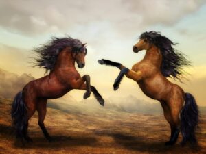 horses, pair, wild horses-2904536.jpg